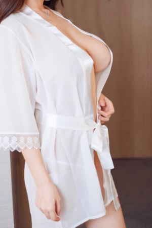 主君的太阳