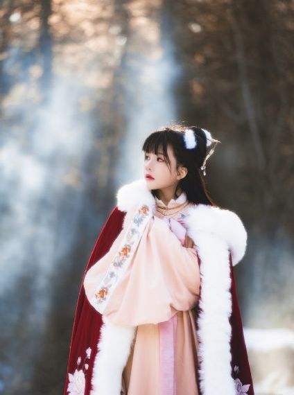 xl上司樱花