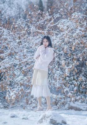 《熊出没之猎鹰熊岛》
